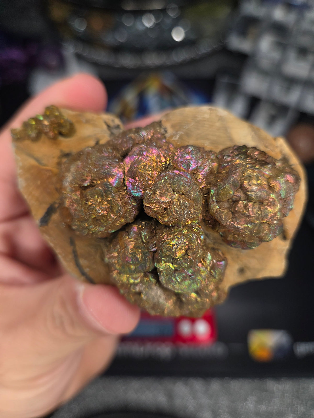 Natural Rainbow Iridescent Pyrite #003