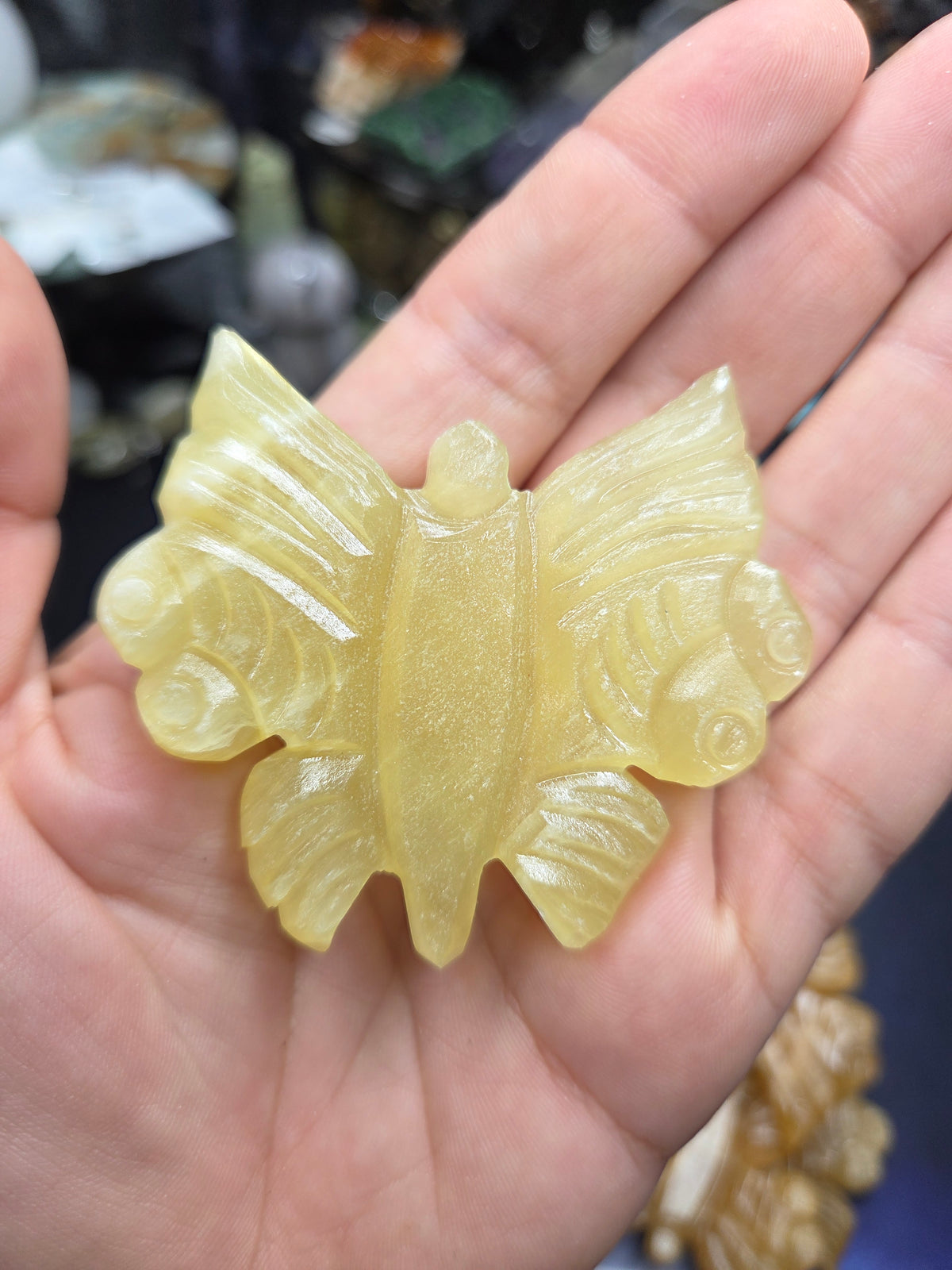 Butterfly Carvings – Blue Aragonite, Lemon Calcite & Honey Calcite