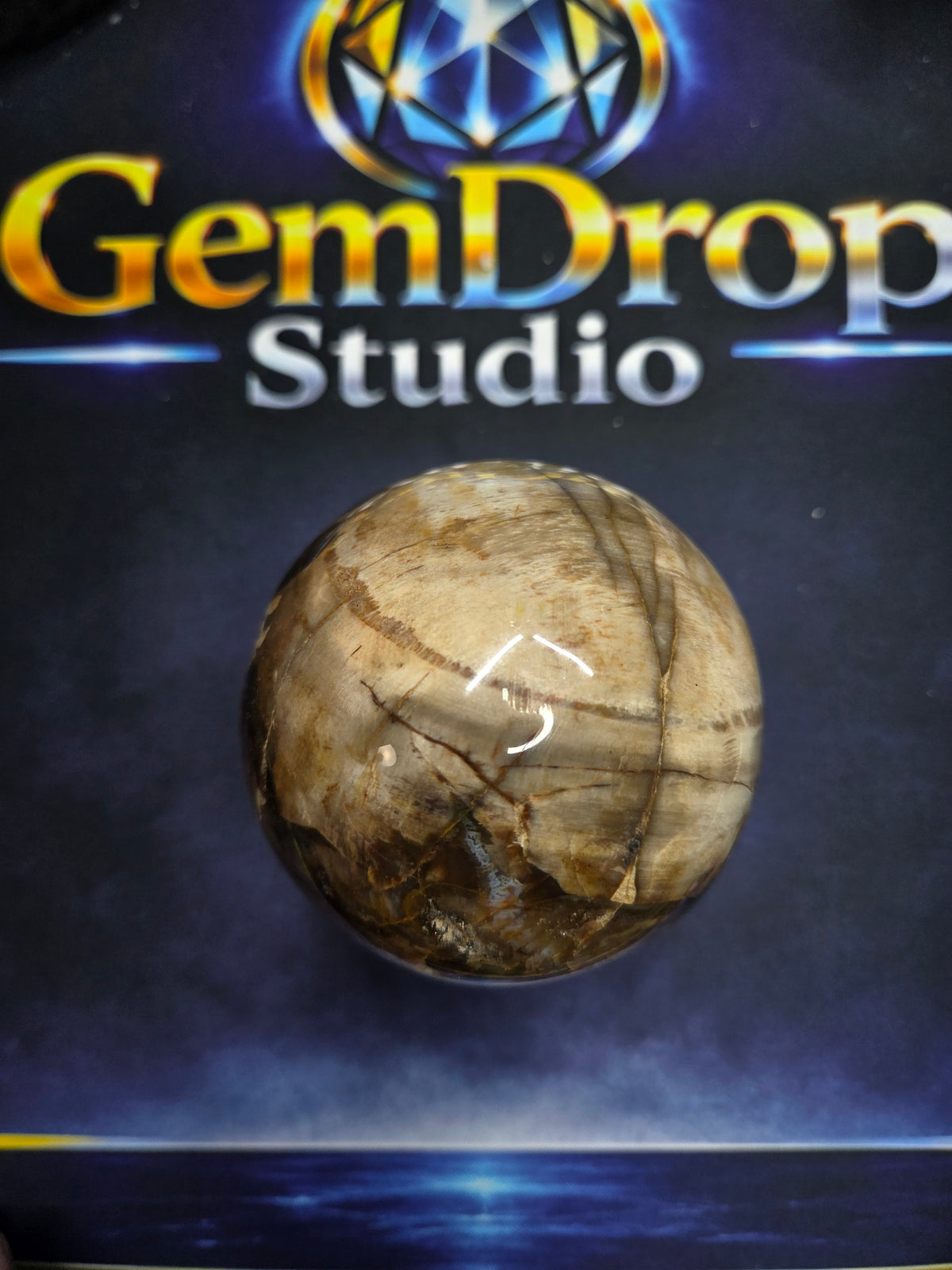 Petrified wood sphere #2