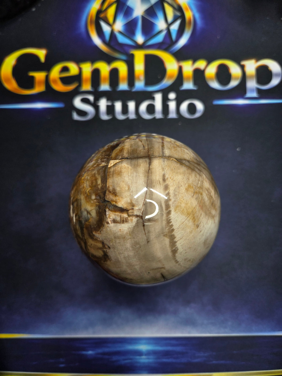 Petrified wood sphere #2