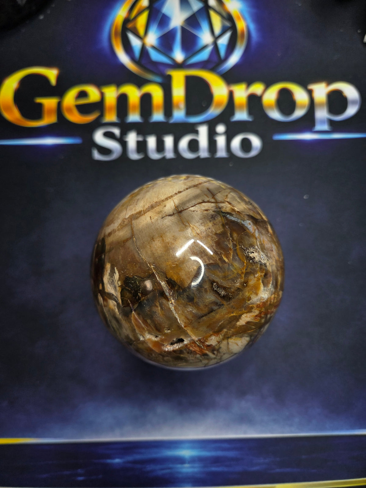 Petrified wood sphere #2