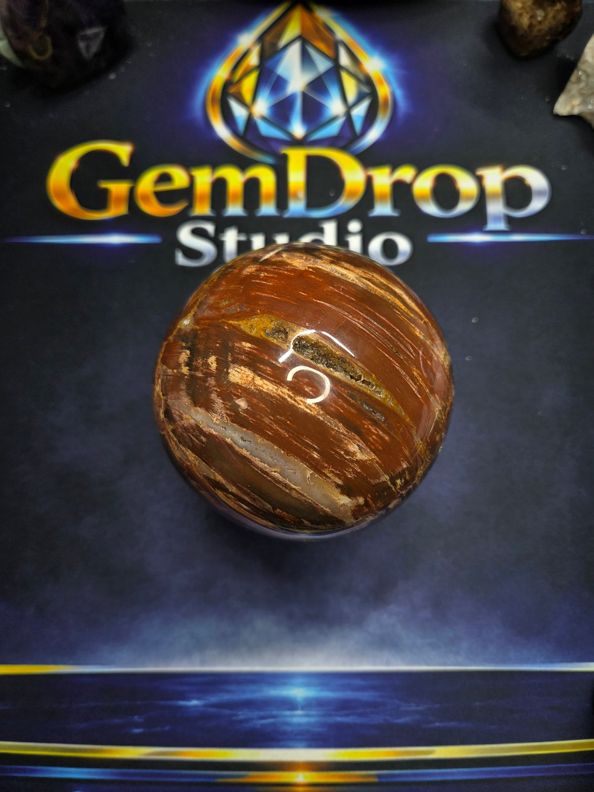 Petrified wood sphere #1