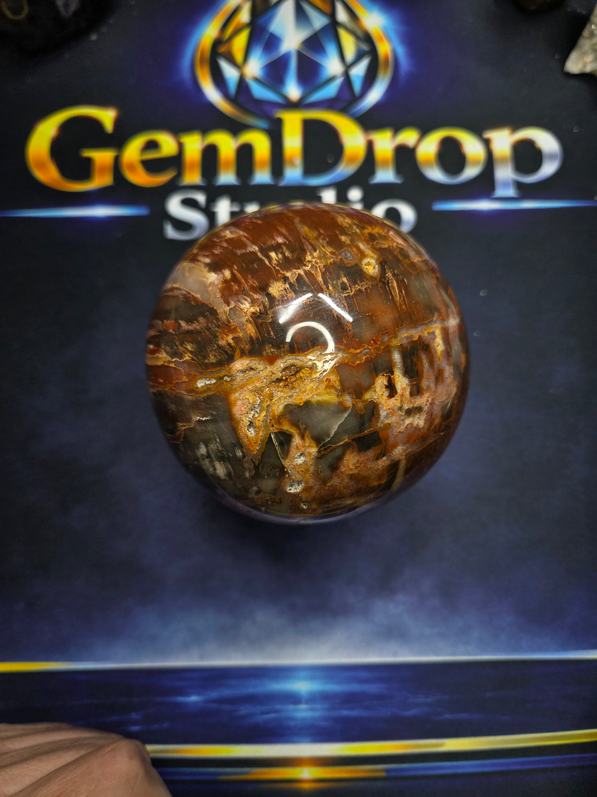 Petrified wood sphere #1
