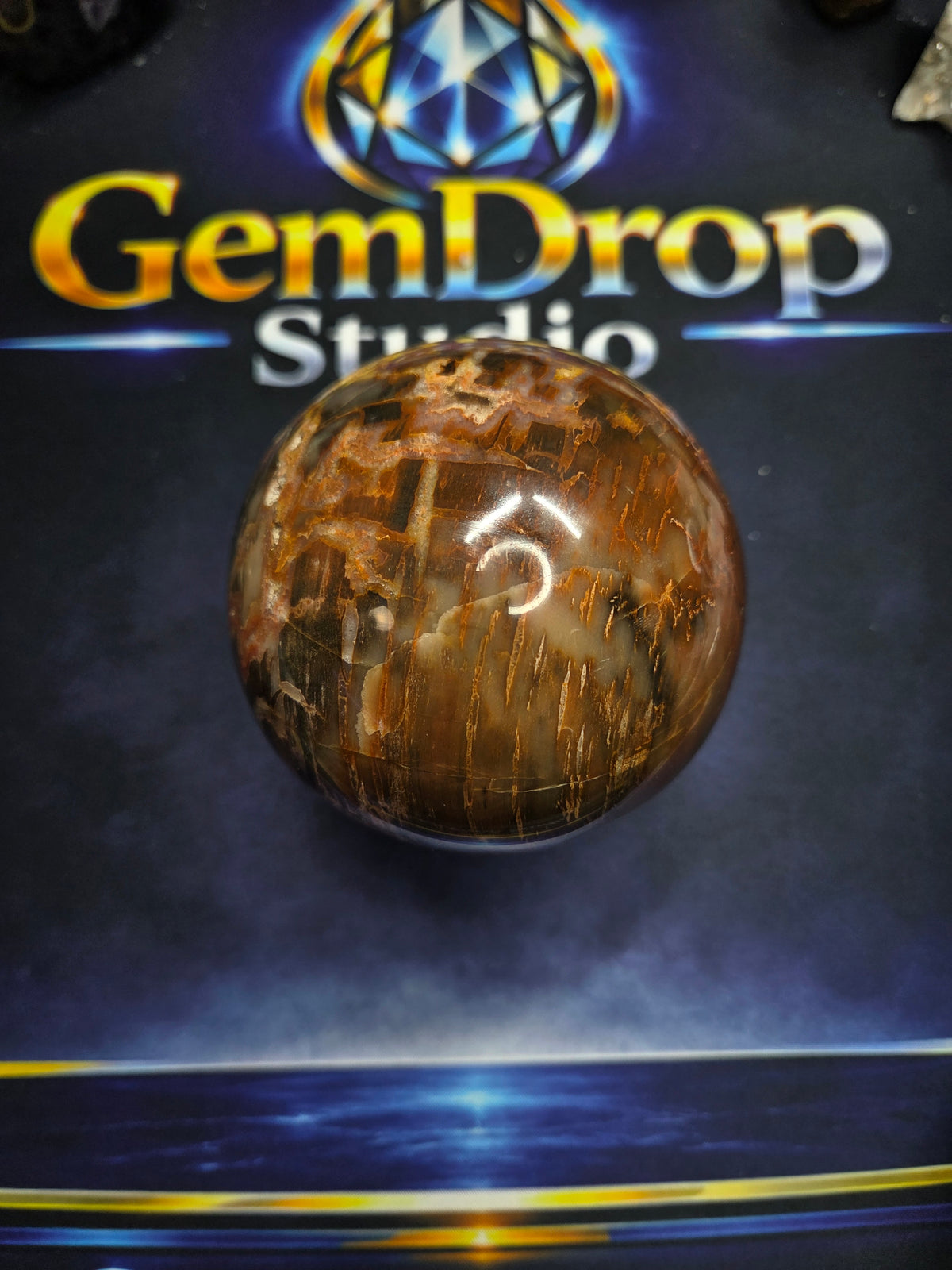 Petrified wood sphere #1