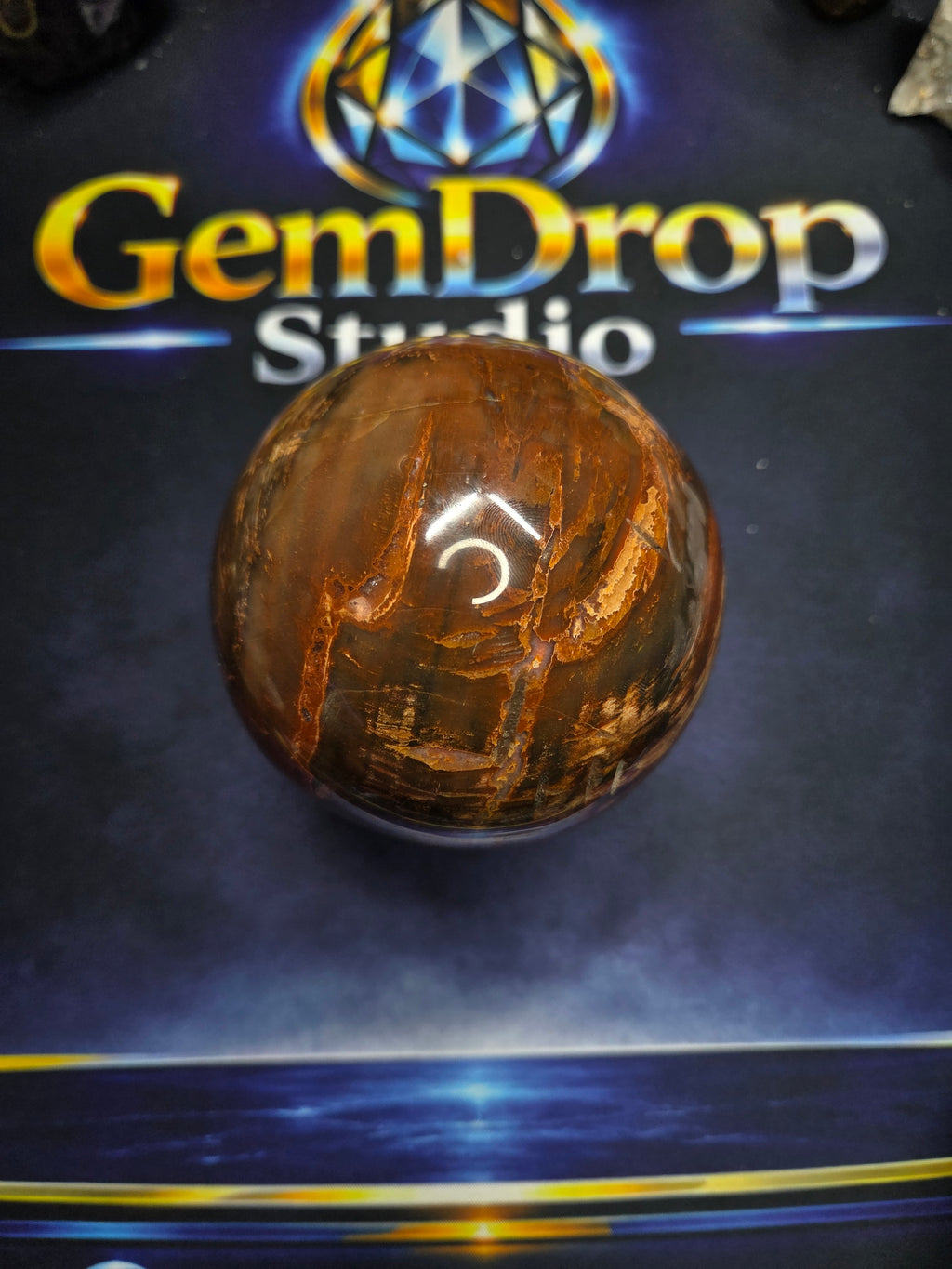 Petrified wood sphere #1