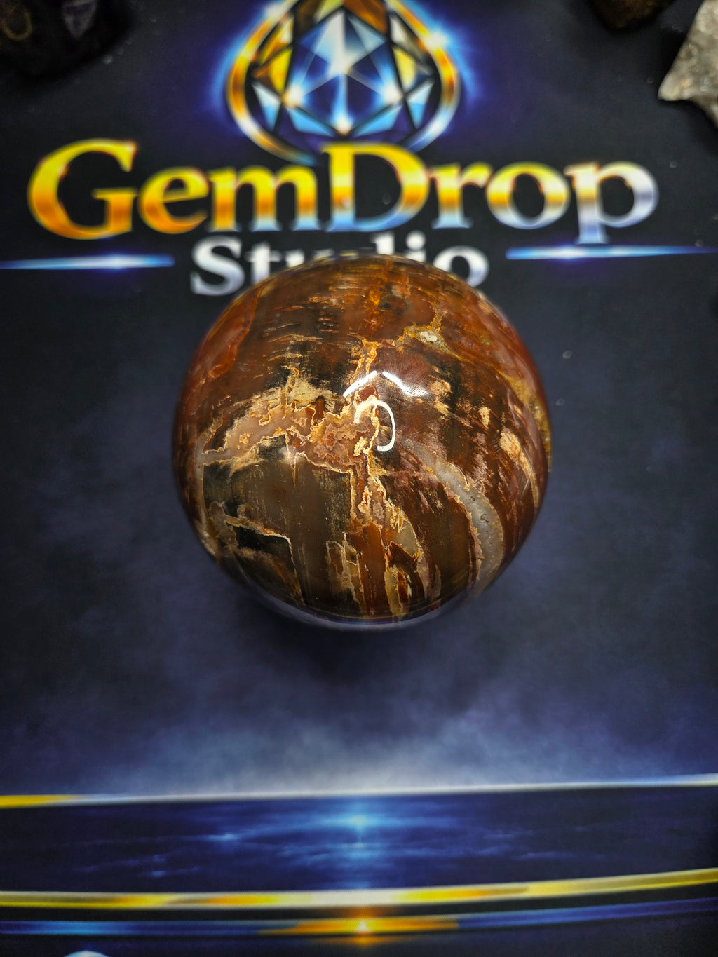 Petrified wood sphere #1