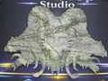 Demon skull and dragons carving #3