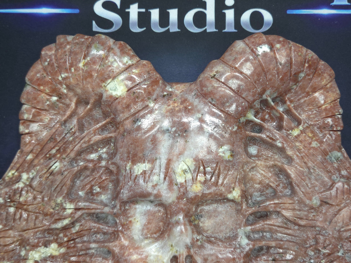 Demon skull and dragons carving #5