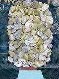 Lemon Jade chips/tumbles - 1LB Bulk Bag