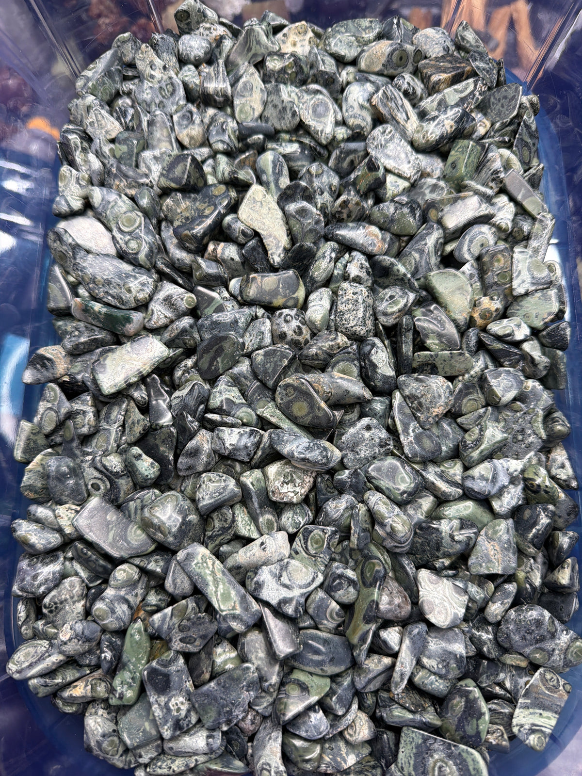 Kambaba Jasper chips - 1LB Bulk Bag