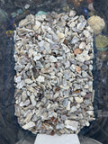 Blue Flower Agate chips - 1LB Bulk Bag