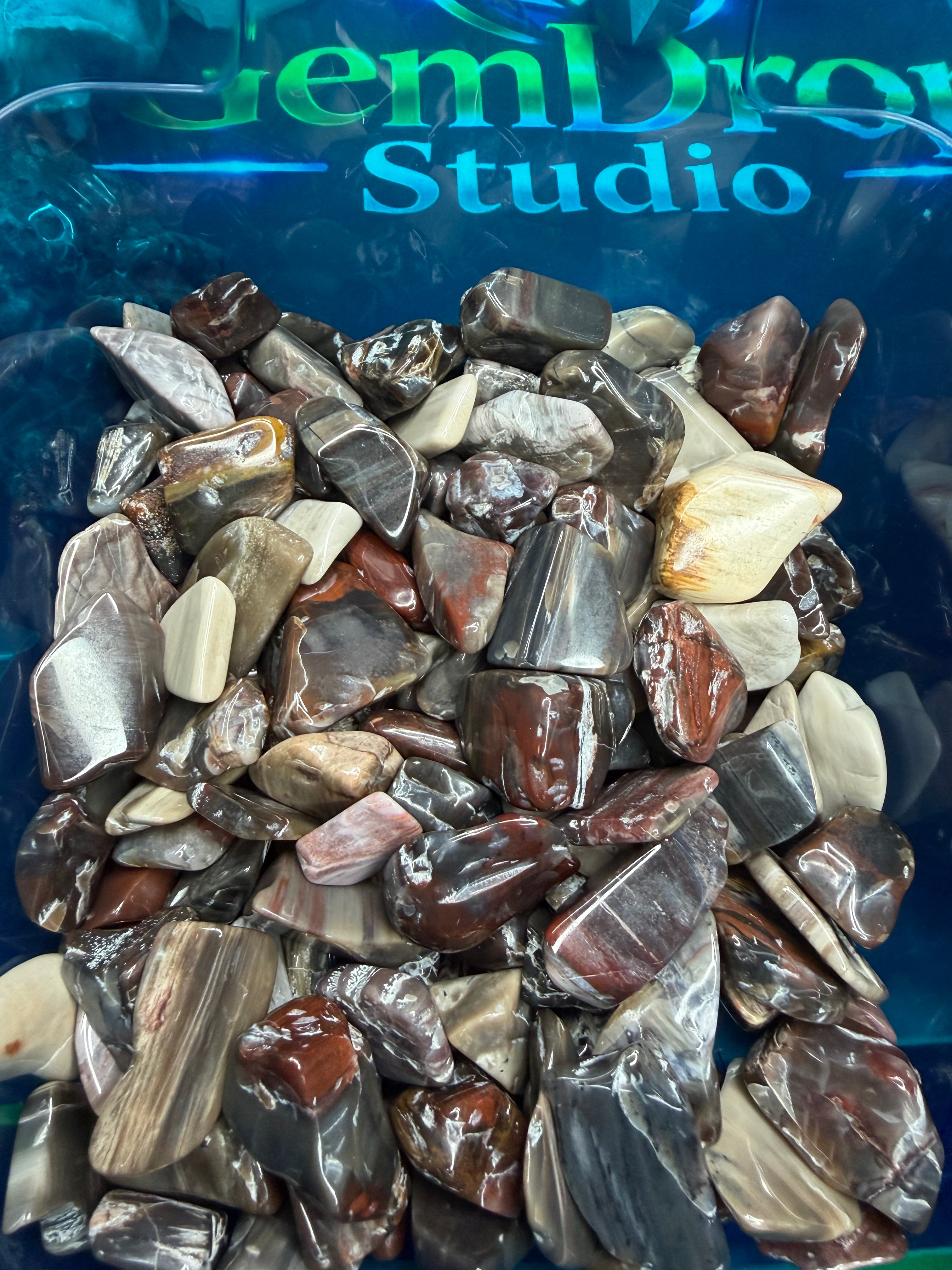 Petrified Wood chips - 1LB Bulk Bag