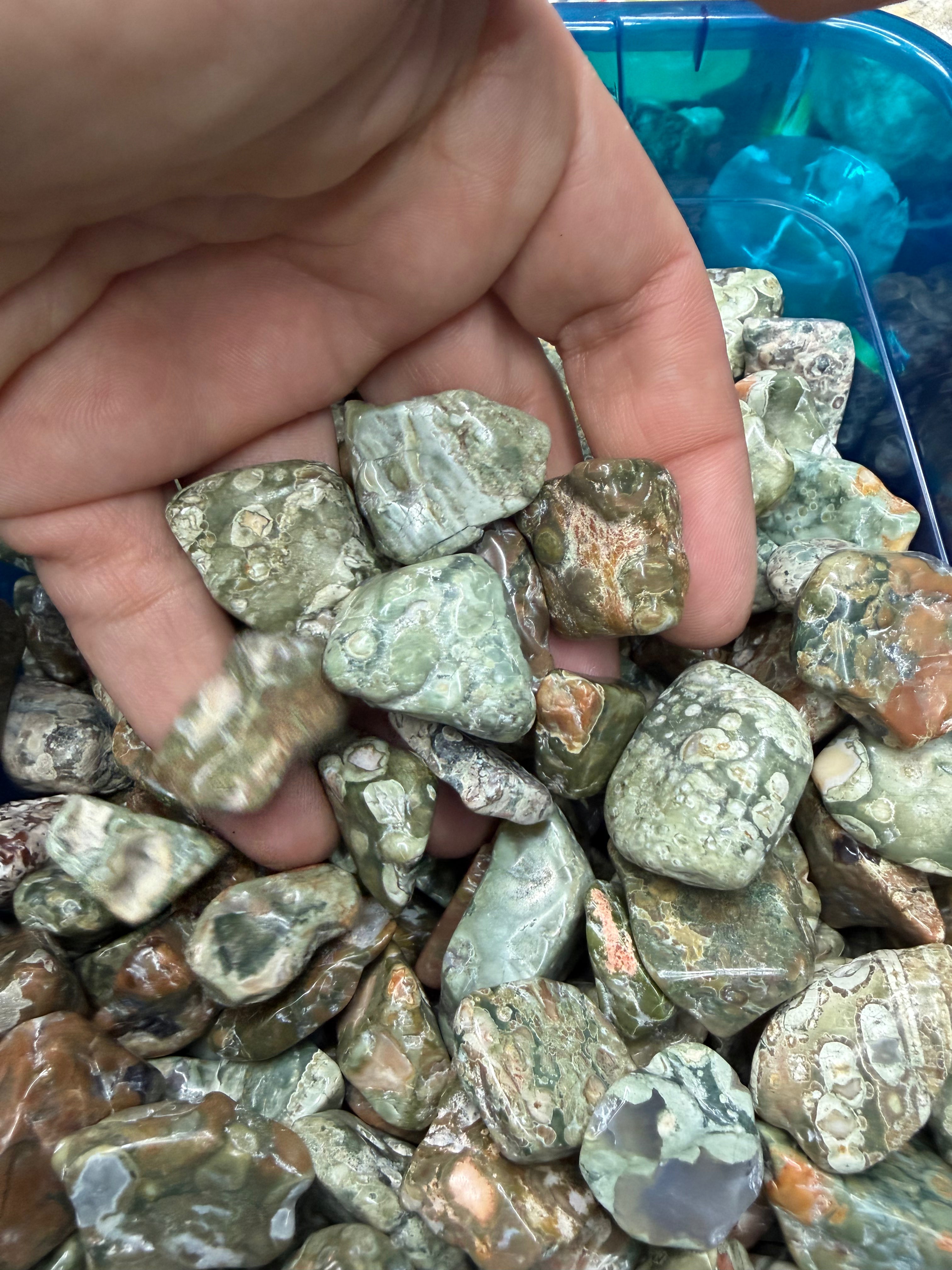 Rainforest Jasper chips - 1LB Bulk Bag