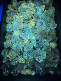 Petroleum Quartz Crystal 5g bundle