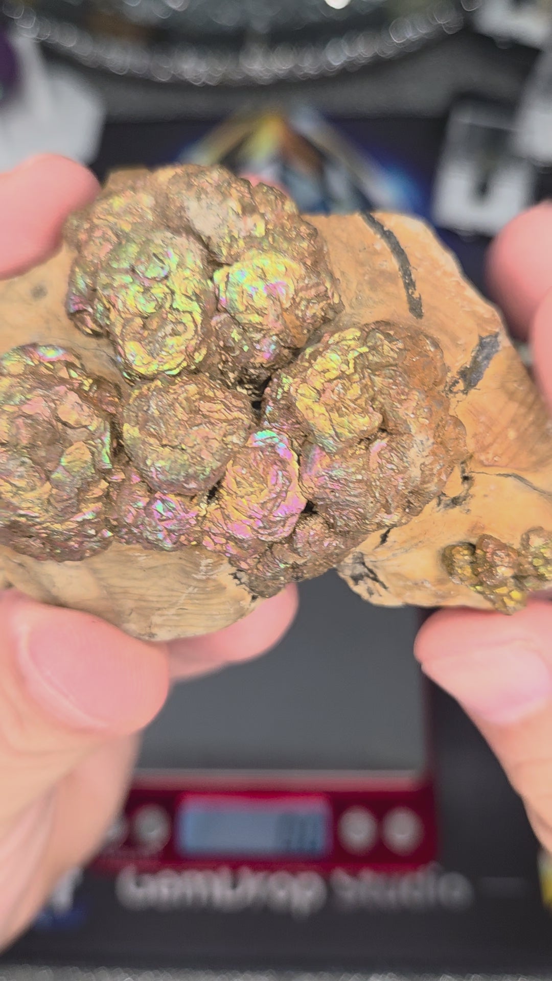 Natural Rainbow Iridescent Pyrite #003