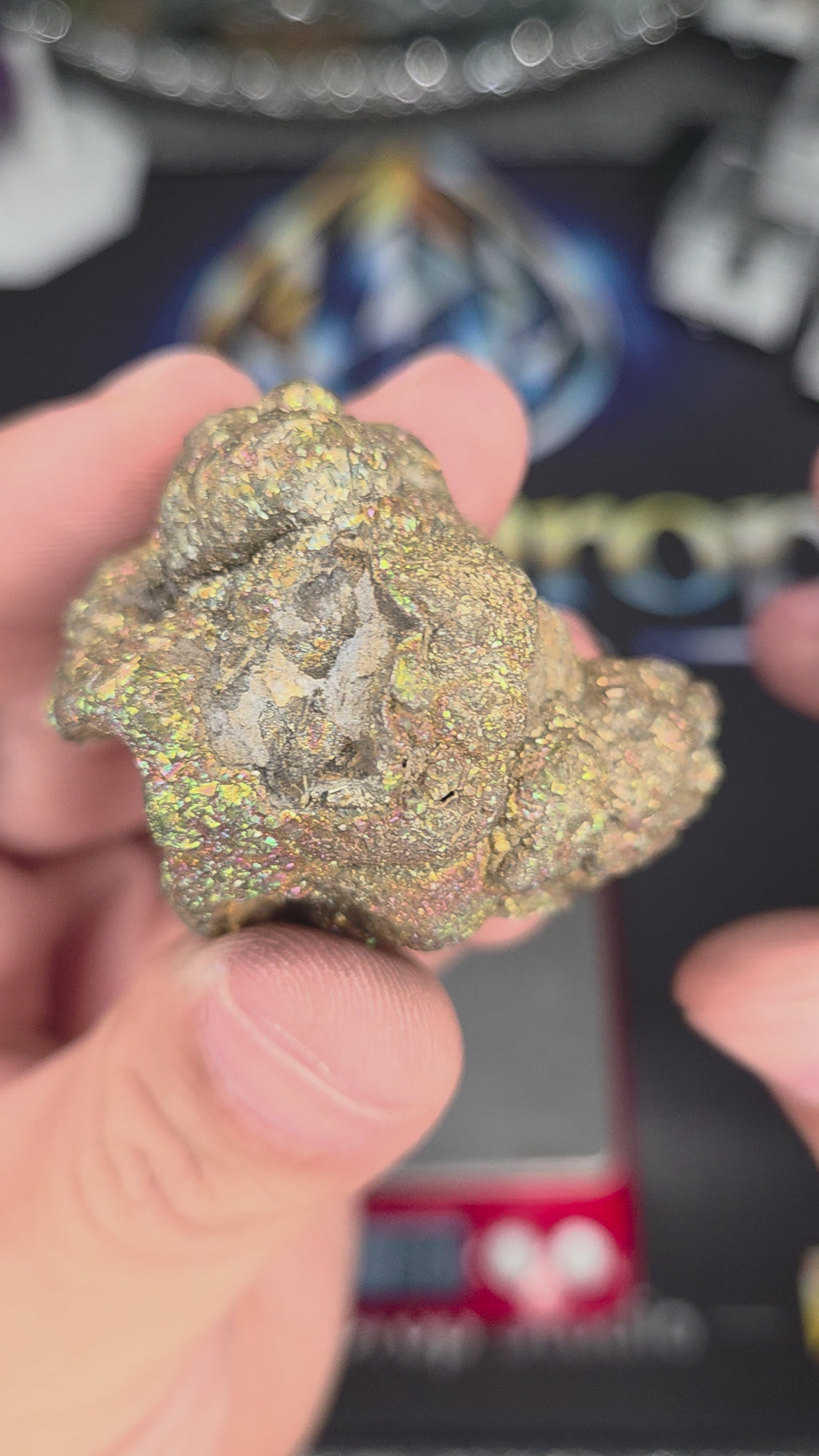 Natural Rainbow Iridescent Pyrite #014
