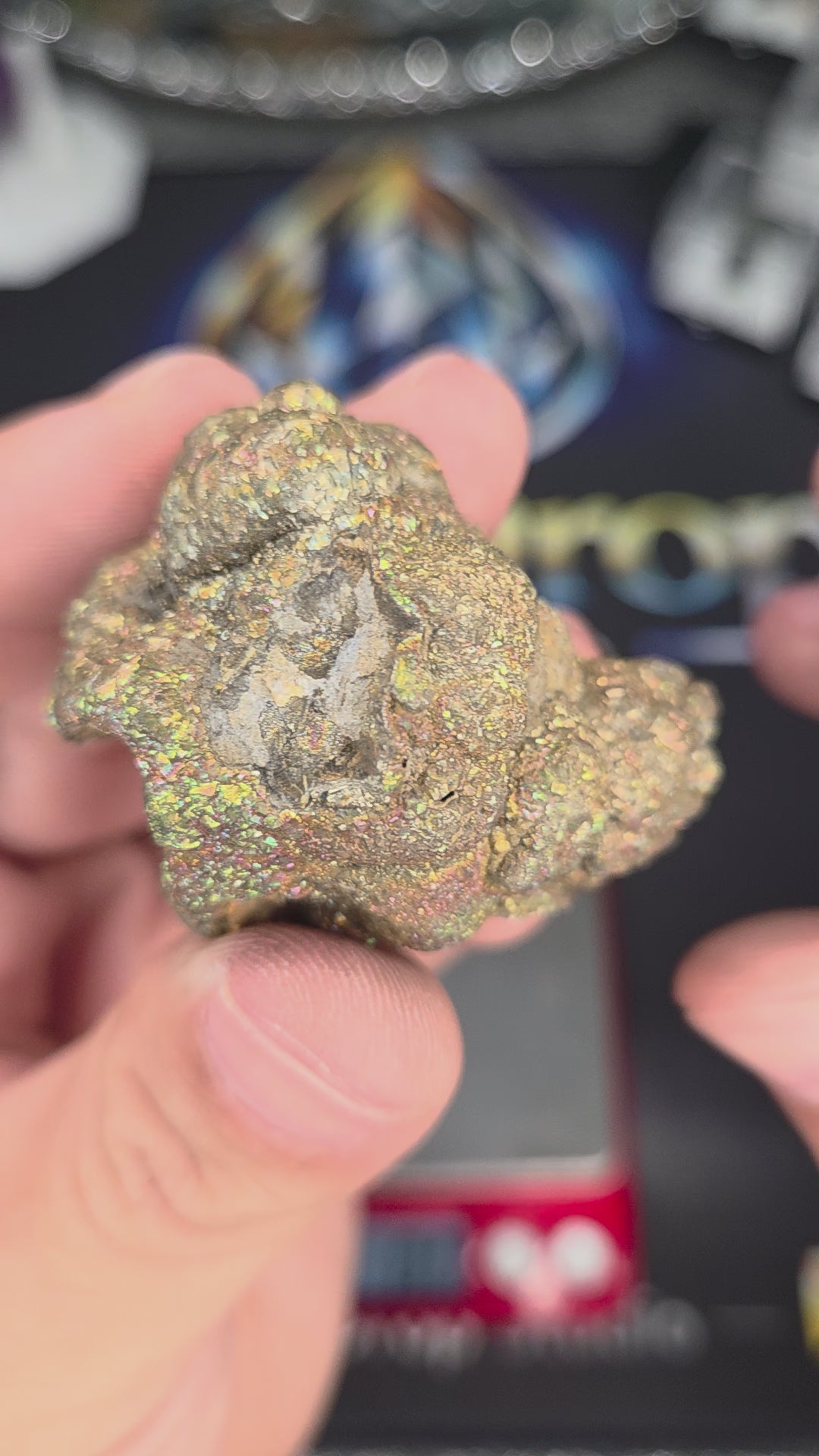 Natural Rainbow Iridescent Pyrite #014