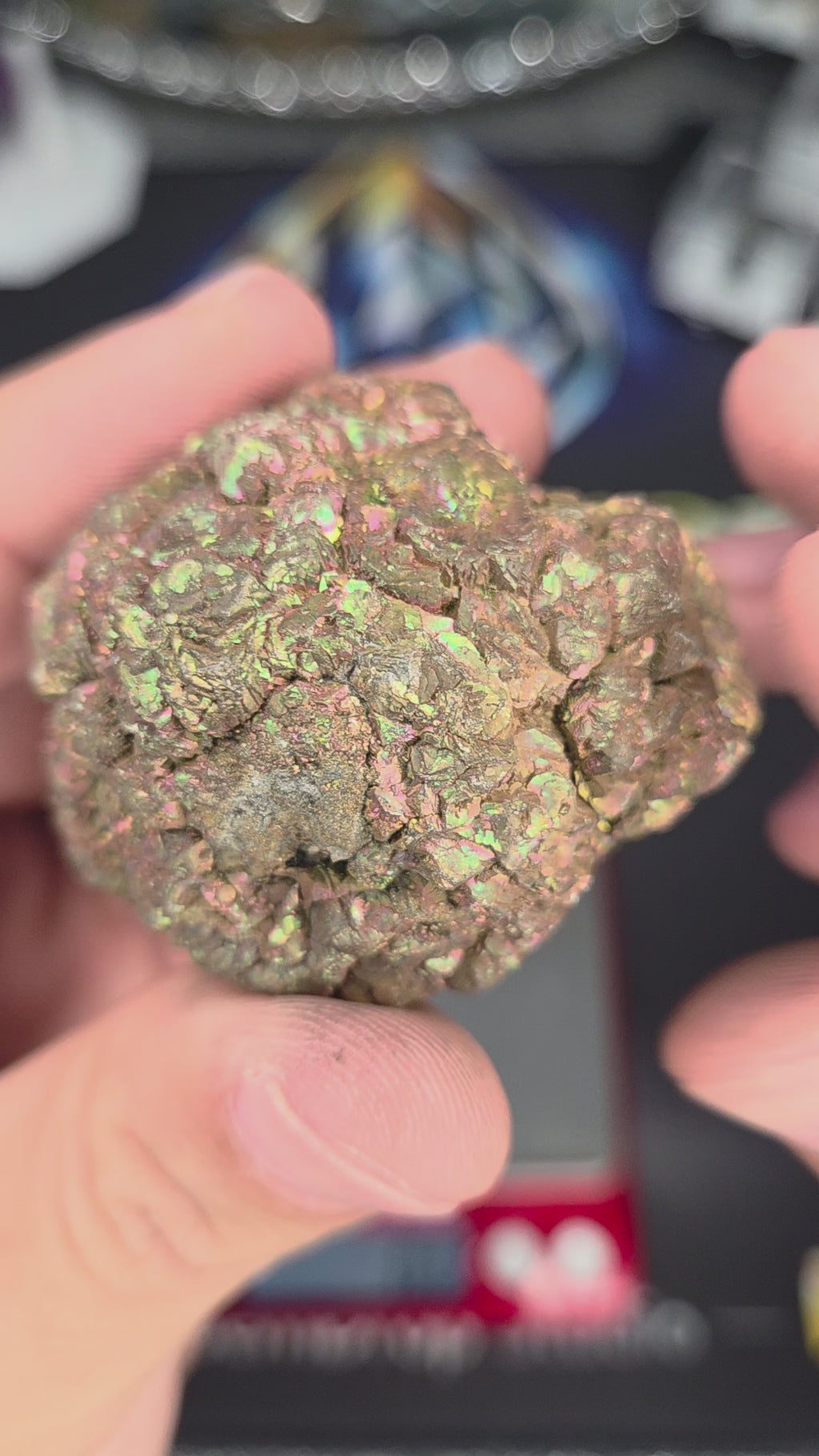 Natural Rainbow Iridescent Pyrite #013
