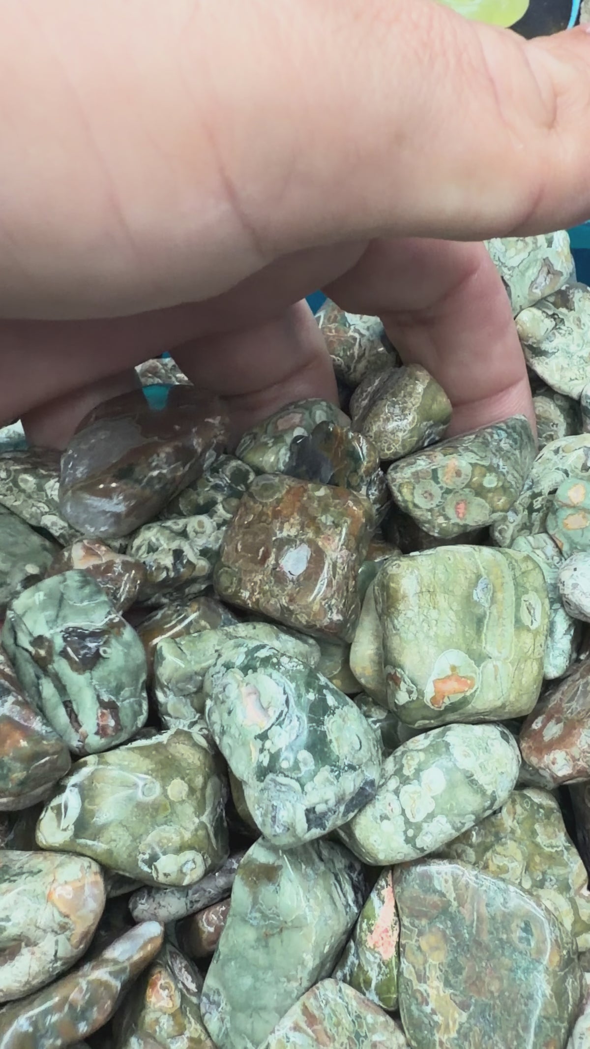 Rainforest Jasper chips - 1LB Bulk Bag